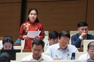 Đại biểu Siu Hương, Tỉnh ủy viên, Phó trưởng đoàn chuyên trách Đoàn...