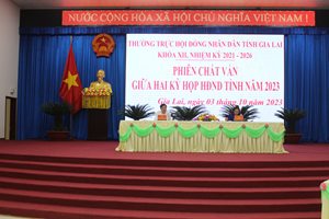 Hội đồng nhân dân hai cấp tỉnh Gia Lai - Dấu ấn một năm nhìn lại