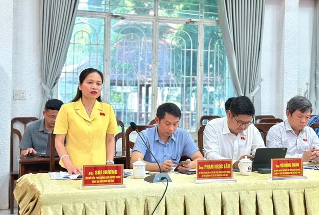ba-siu-huong-tinh-uy-vien-pho-truong-doan-chuyen-trach-doan-dai-bieu-quoc-hoi-tinh-phat-bieu-tai-buoi-khao-sat-anh-ha-duy.jpg