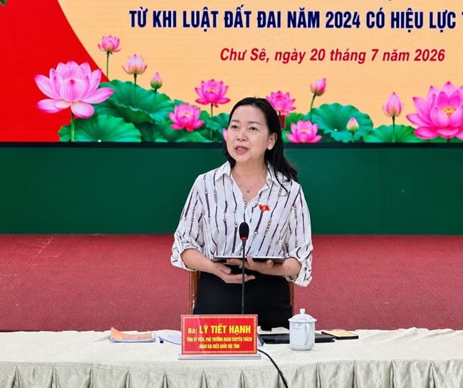 ba-ly-tiet-hanh-tinh-uy-vien-pho-truong-doan-chuyen-trach-doan-dai-bieu-quoc-hoi-tinh-phat-bieu-tai-buoi-khao-sat-anh-ha-duy.jpg