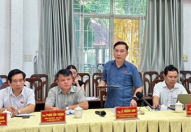 ong-le-hoang-anh-uy-vien-la-dbqh-hoat-dong-chuyen-trach-tai-uy-ban-kinh-te-va-tai-chinh-cua-quoc-hoi-phat-bieu-tai-buoi-khao-sat-anh-ha-duy.jpg