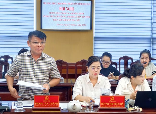 hdnd-cac-dai-bieu.jpg