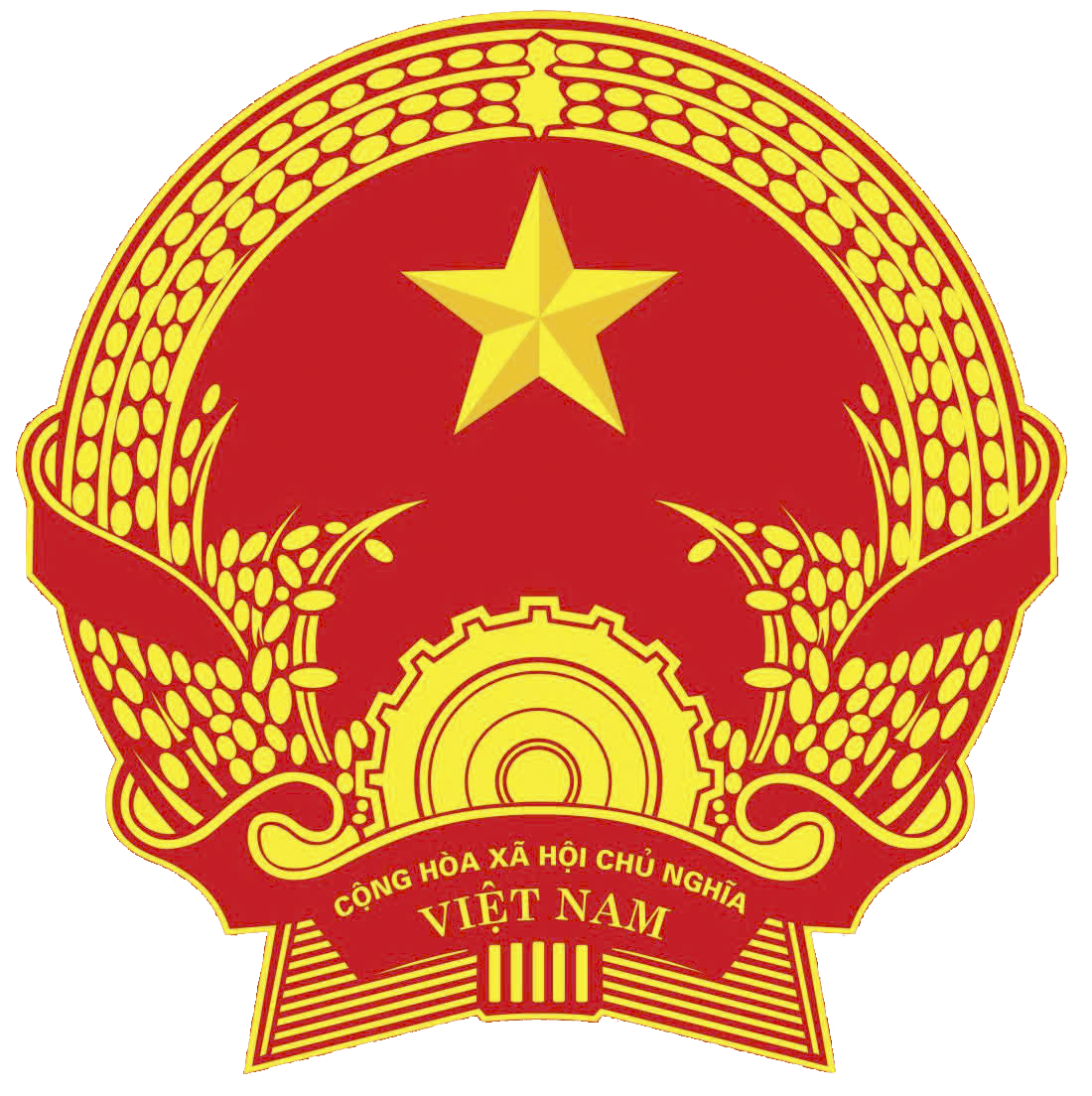 quoc-huy.png