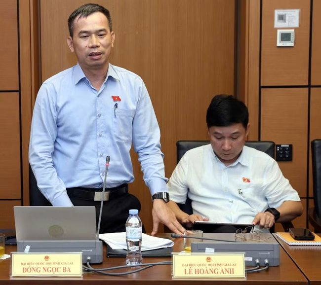 theo-db-dong-ngoc-ba.jpg