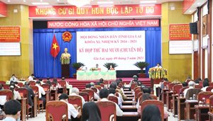 HĐND tỉnh Gia Lai thông qua nghị quyết phân bổ đầu tư công trung hạ...