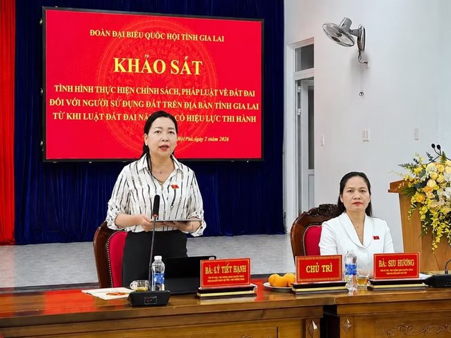 ba-ly-tiet-hanh-tinh-uy-vien-pho-truong-doan-chuyen-trach-doan-dai-bieu-quoc-hoi-tinh-phat-bieu-tai-buoi-khao-sat-anh-ha-duy.jpg