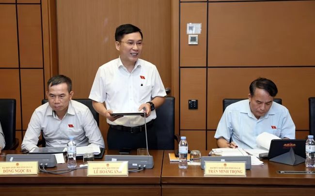 db-le-hoang-anh-cho-rang-du-thao-can-tiep-tuc-hoan-thien-de-khac-phuc-nhung-lo-hong-trong-quan-ly-ngan-chan-tinh-trang-xuat-ban-cac-an-pham-xuyen-tac-lich-su-boi-nho-lanh-tu.jpg