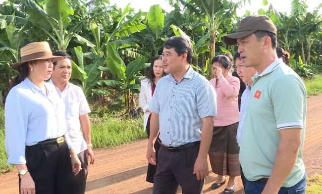 pho-chu-tich-hdnd-tinh-huynh-thuy-van-ngoai-cung-ben-trai-tham-lam-viec-cong-ty-tnhh-mtv-phat-trien-nong-nghiep-khan-xay.jpg